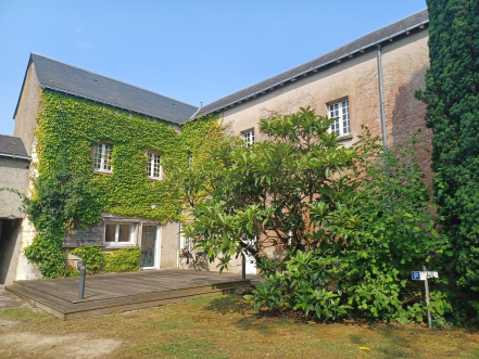 Image d'illustration pour : Néflier du japon Image d'illustration pour : Néflier du japon