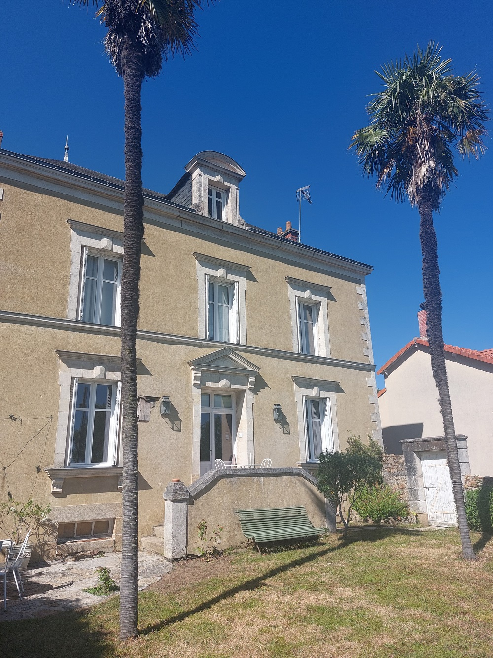 Image d'illustration pour : Palmier de Chine