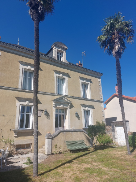 Image d'illustration pour : Palmier de Chine