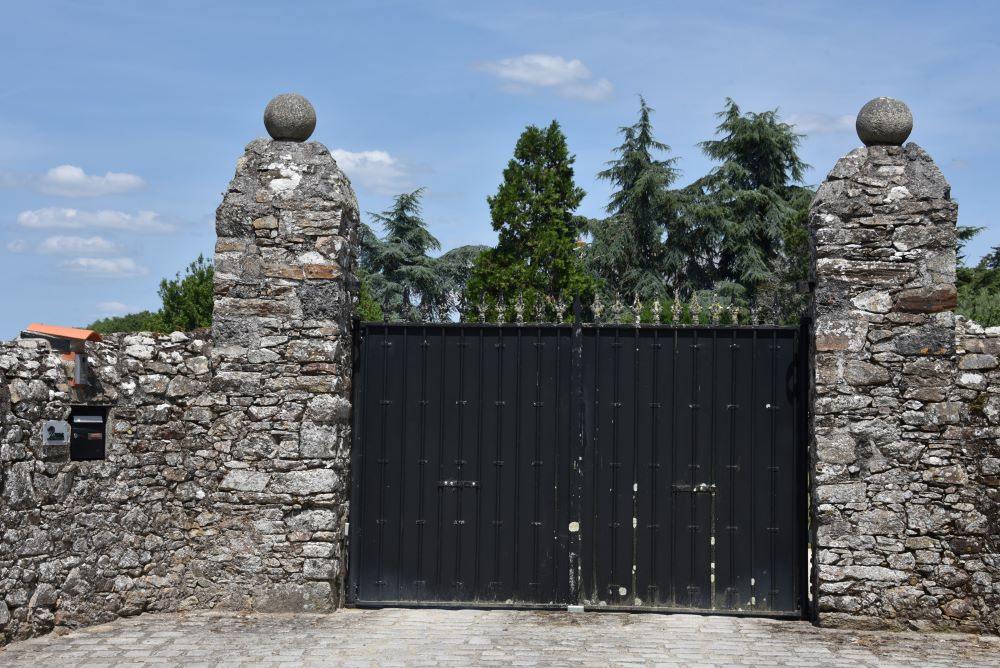 Image d'illustration pour : Cèdres et autres