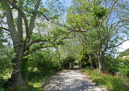 Image d'illustration pour : Alignement d'arbres