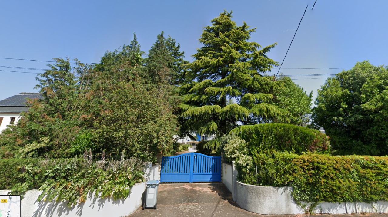 Image d'illustration pour : Cèdre