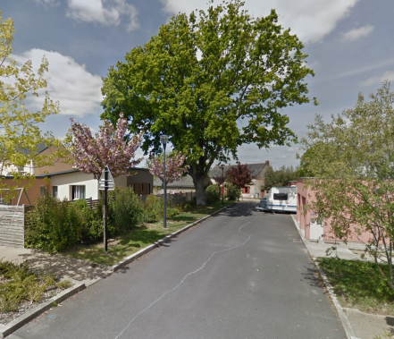 Image d'illustration pour : Chêne