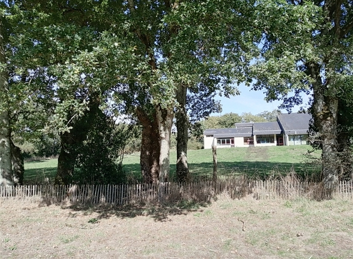 Image d'illustration pour : Chênes pedonculés