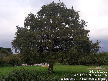 Image d'illustration pour : AR 3/1000