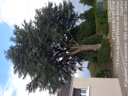 Image d'illustration pour : AR 4/100