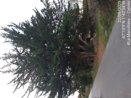 Image d'illustration pour : AR 6/100