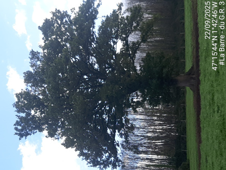 Image d'illustration pour : AR 5bis/100