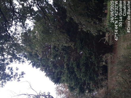 Image d'illustration pour : AR 8/100