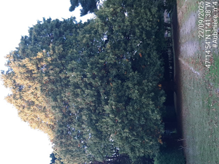 Image d'illustration pour : AR 11/100