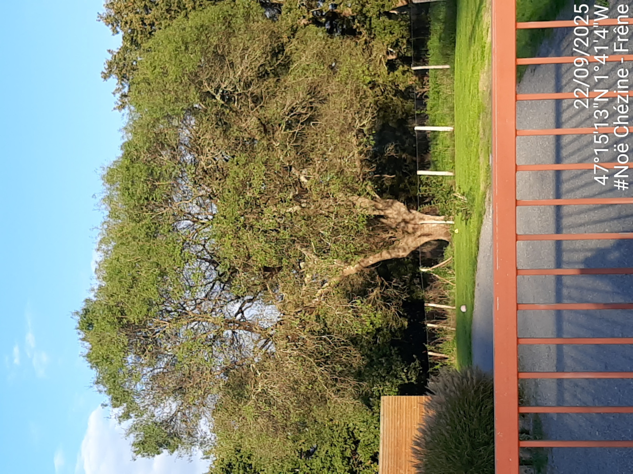 Image d'illustration pour : AR 13/100