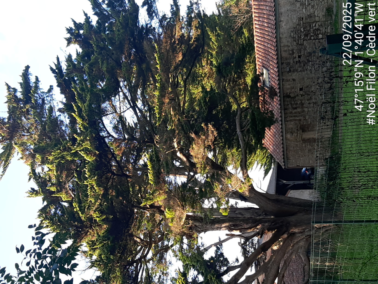 Image d'illustration pour : AR 16/100