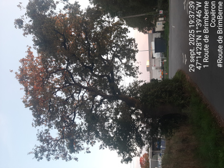 Image d'illustration pour : AR 17/100