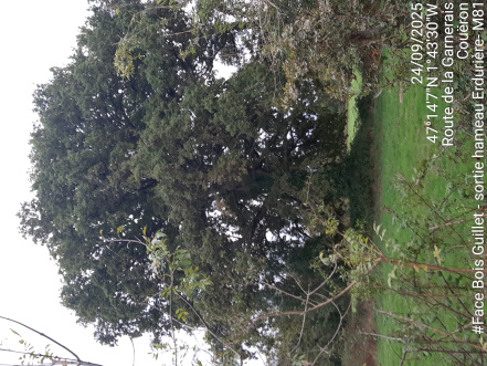 Image d'illustration pour : AR 18/100