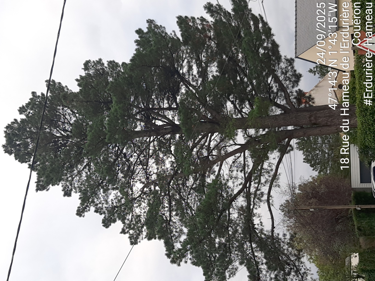 Image d'illustration pour : AR 19/100