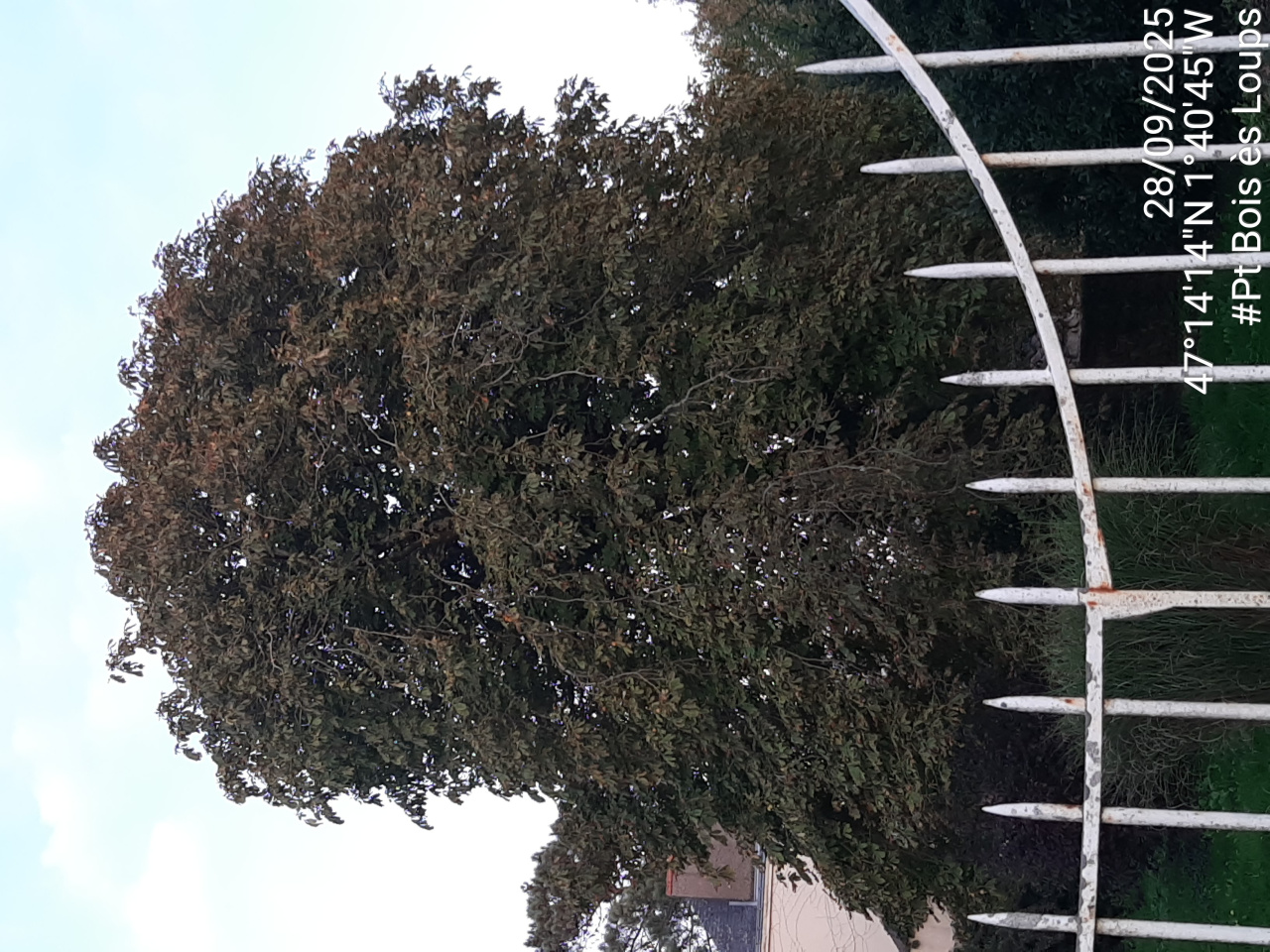 Image d'illustration pour : AR 25/100