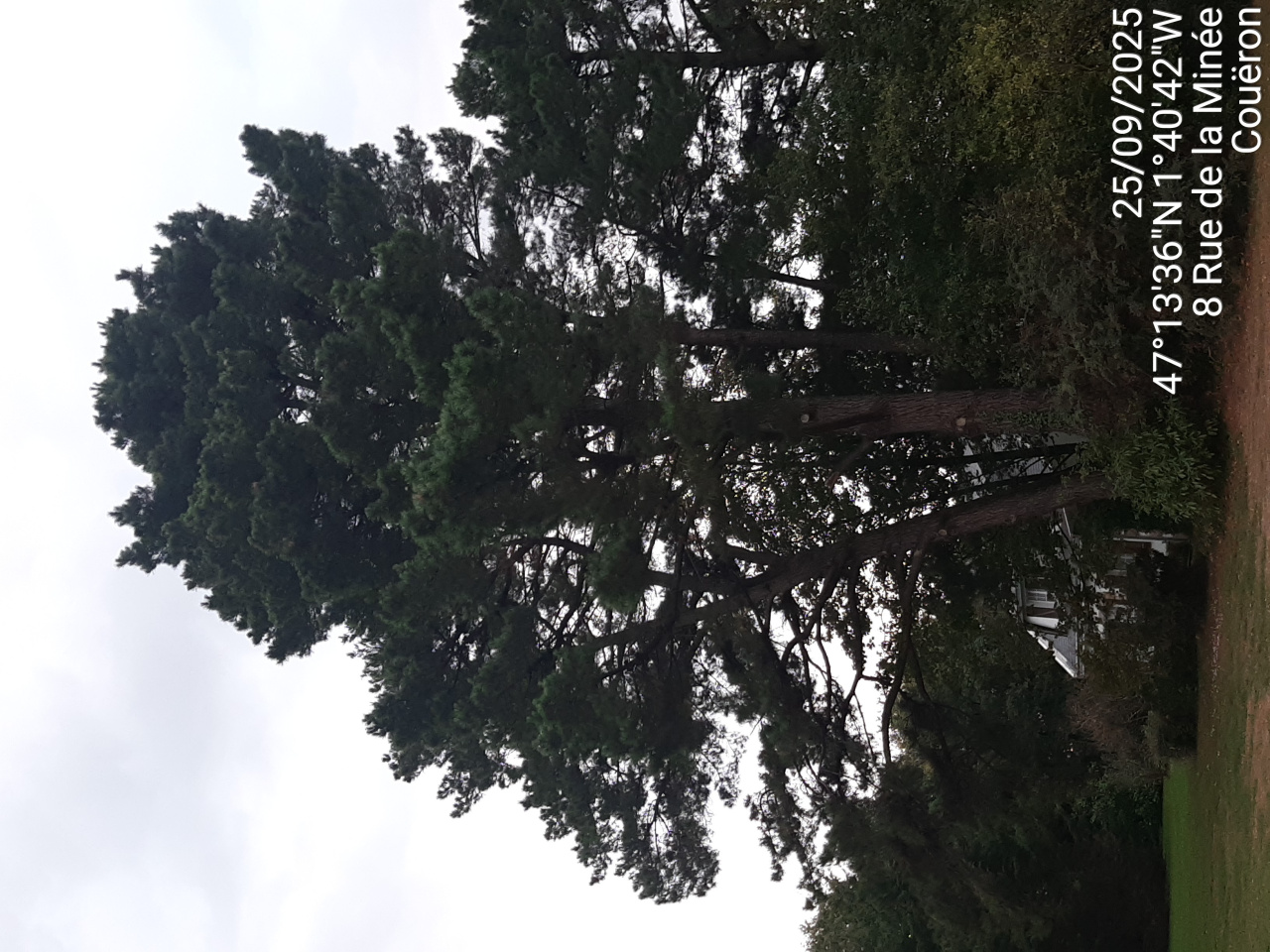 Image d'illustration pour : AR 27/100