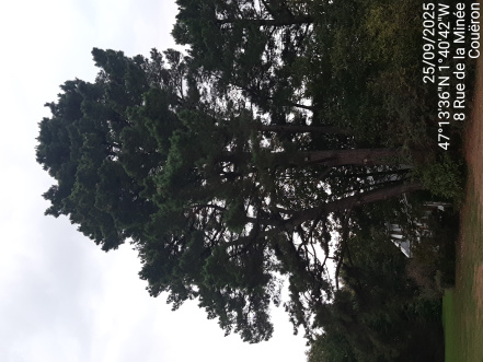 Image d'illustration pour : AR 27/100