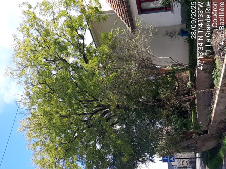 Image d'illustration pour : AR 31/100