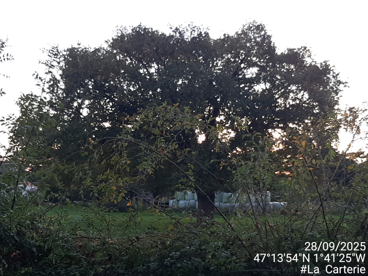 Image d'illustration pour : AR 24/100