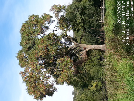 Image d'illustration pour : AR 40/100