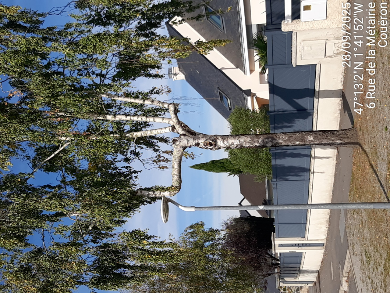 Image d'illustration pour : AR 41/100