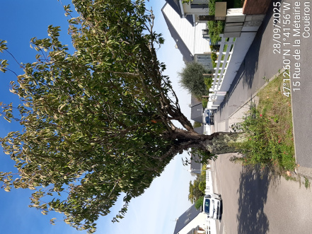 Image d'illustration pour : AR 42