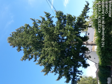 Image d'illustration pour : AR 43