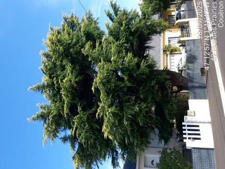 Image d'illustration pour : AR 44/100