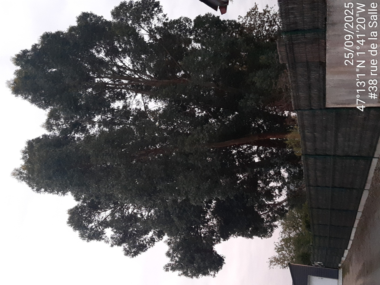 Image d'illustration pour : AR 46/100