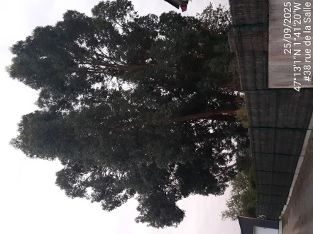 Image d'illustration pour : AR 46/100