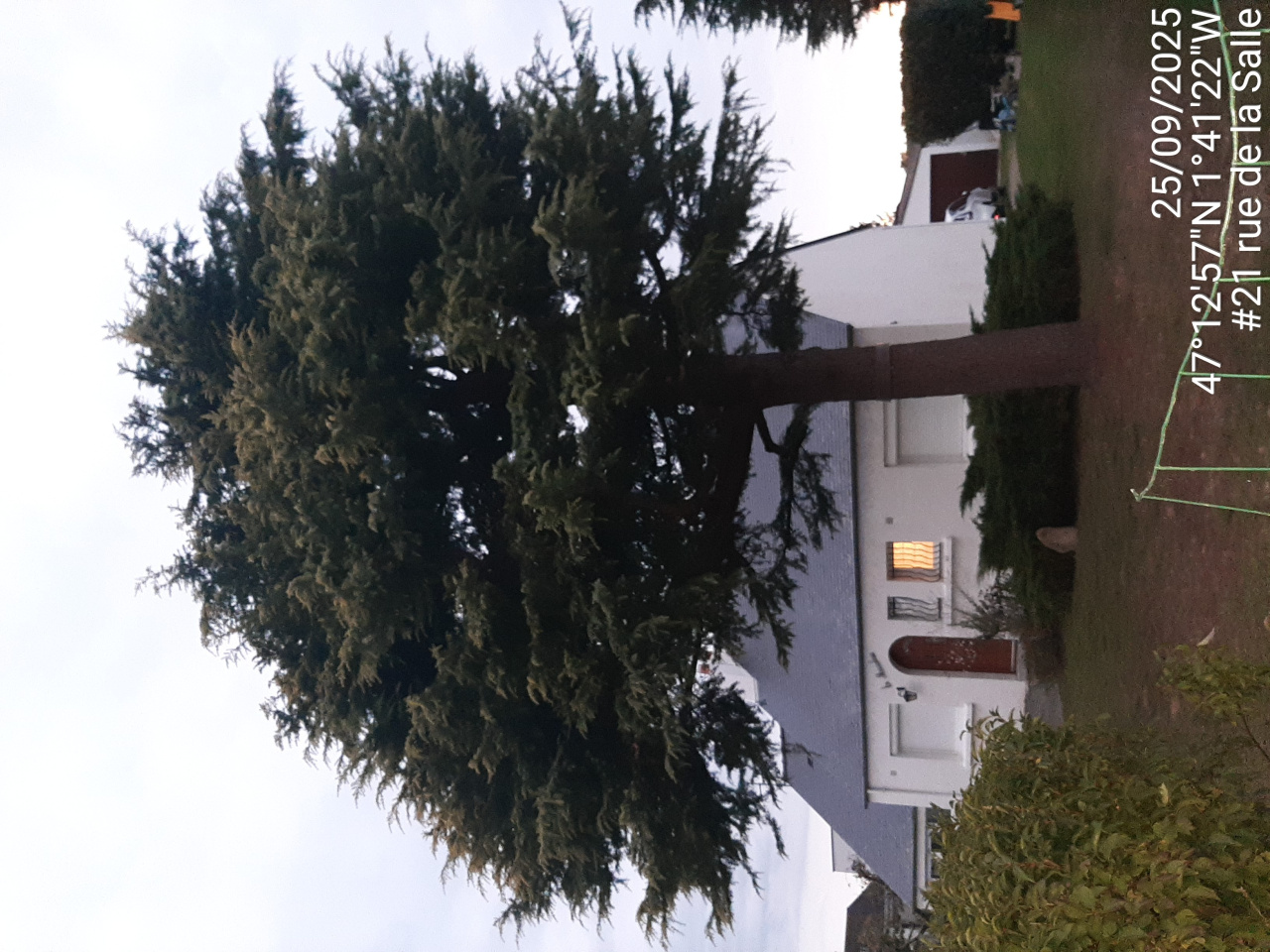 Image d'illustration pour : AR 47/100