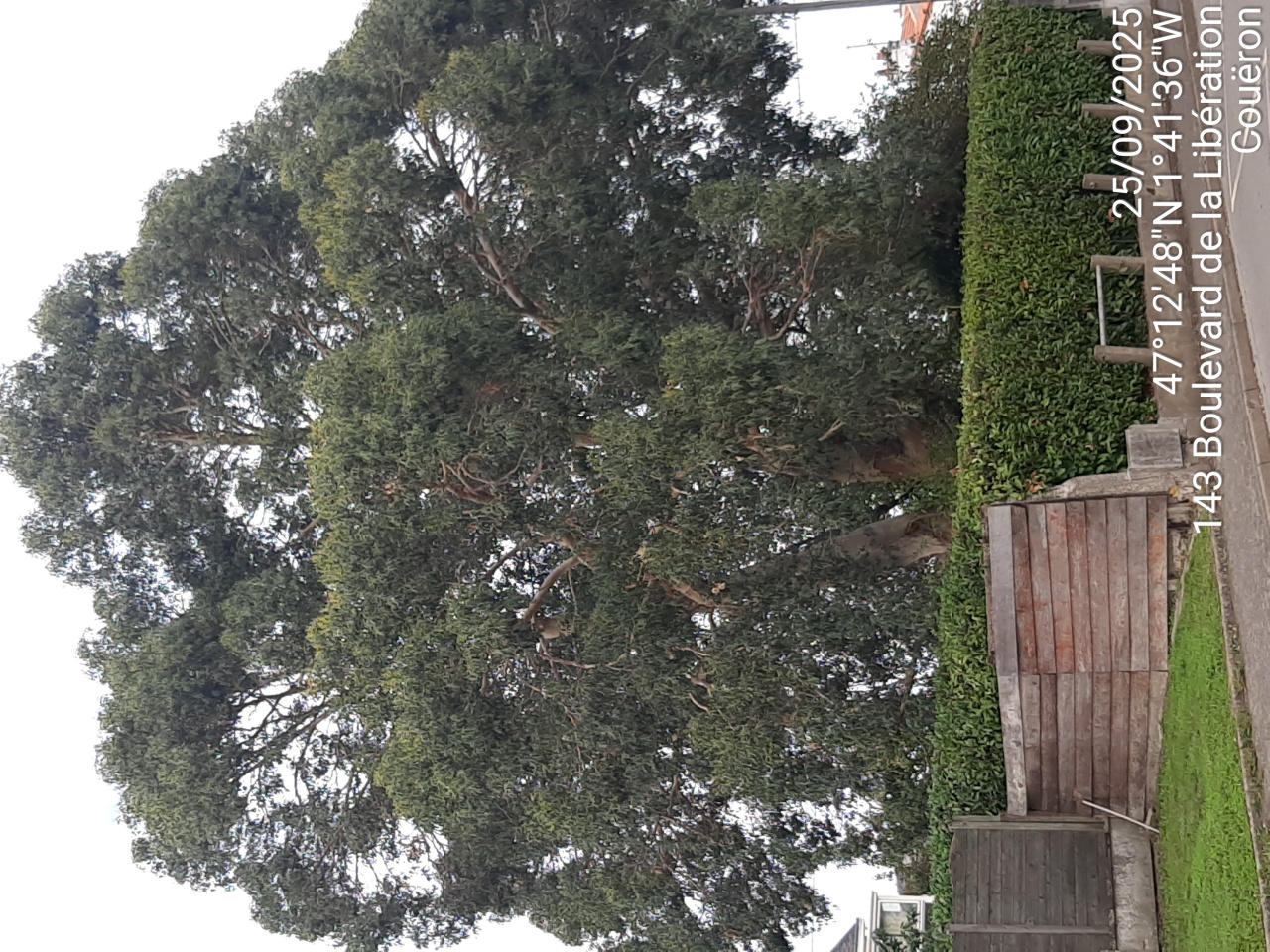 Image d'illustration pour : AR 49/100 Image d'illustration pour : AR 49/100