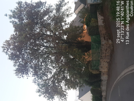 Image d'illustration pour : AR 50/100 Image d'illustration pour : AR 50/100