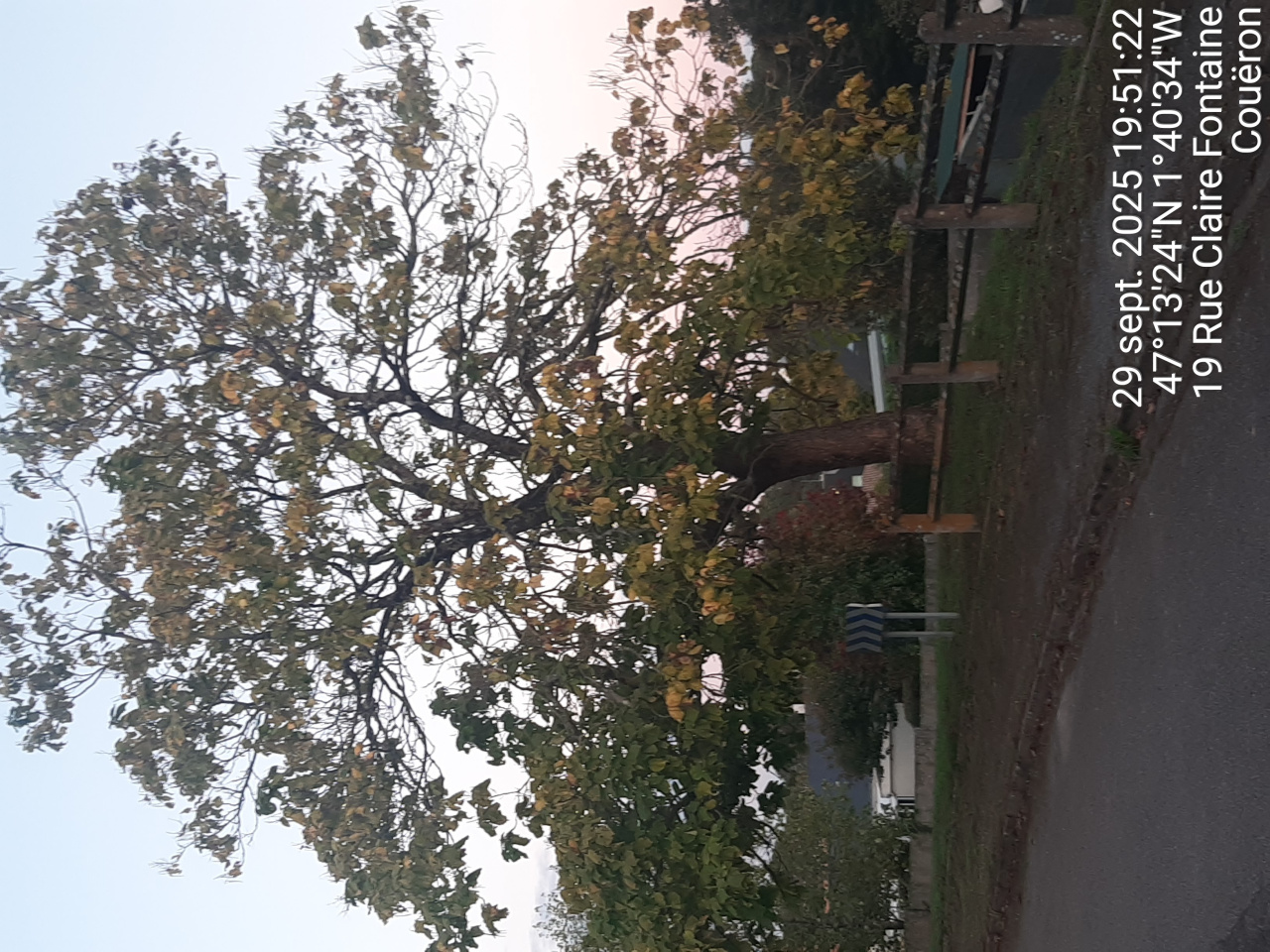 Image d'illustration pour : AR 51/100 Image d'illustration pour : AR 51/100