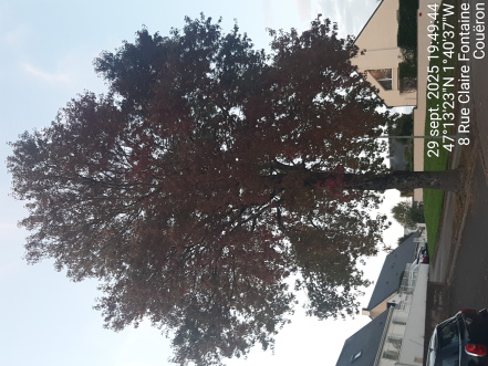 Image d'illustration pour : AR 52/100 Image d'illustration pour : AR 52/100