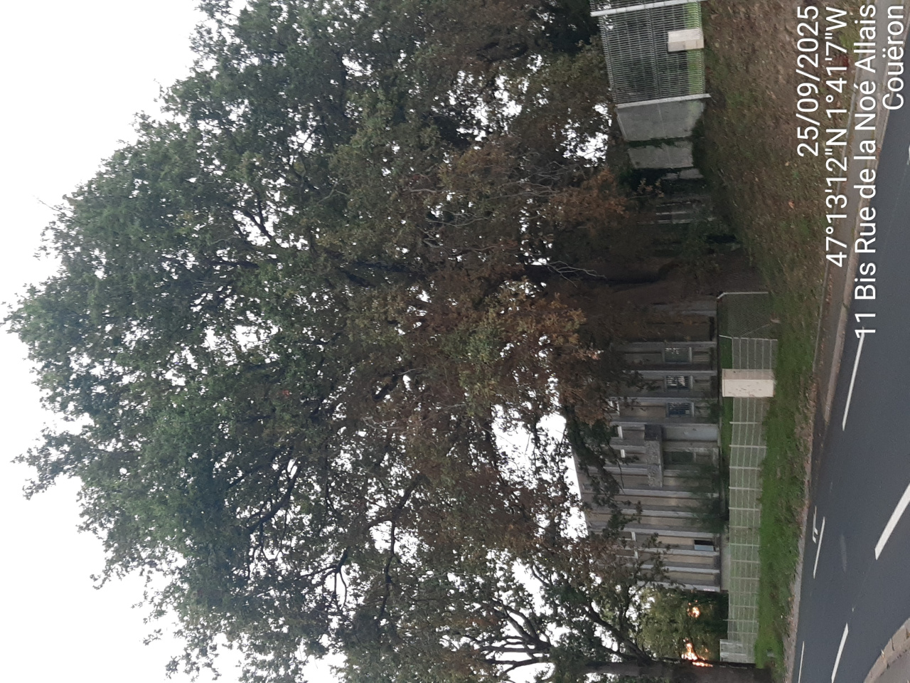 Image d'illustration pour : AR 53/100 Image d'illustration pour : AR 53/100