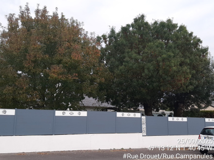 Image d'illustration pour : AR 55/100 Image d'illustration pour : AR 55/100