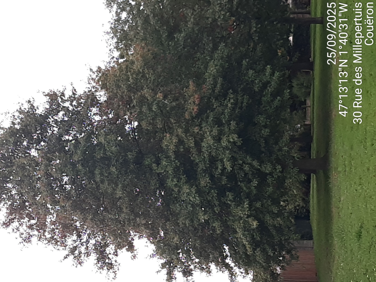 Image d'illustration pour : AR 56 Image d'illustration pour : AR 56