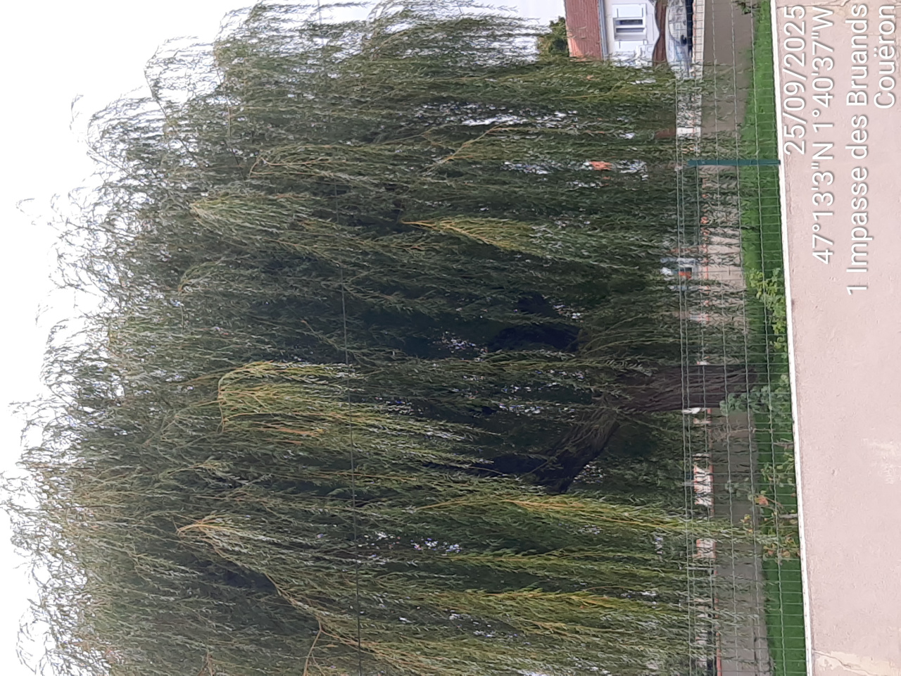 Image d'illustration pour : AR 58/100 Image d'illustration pour : AR 58/100