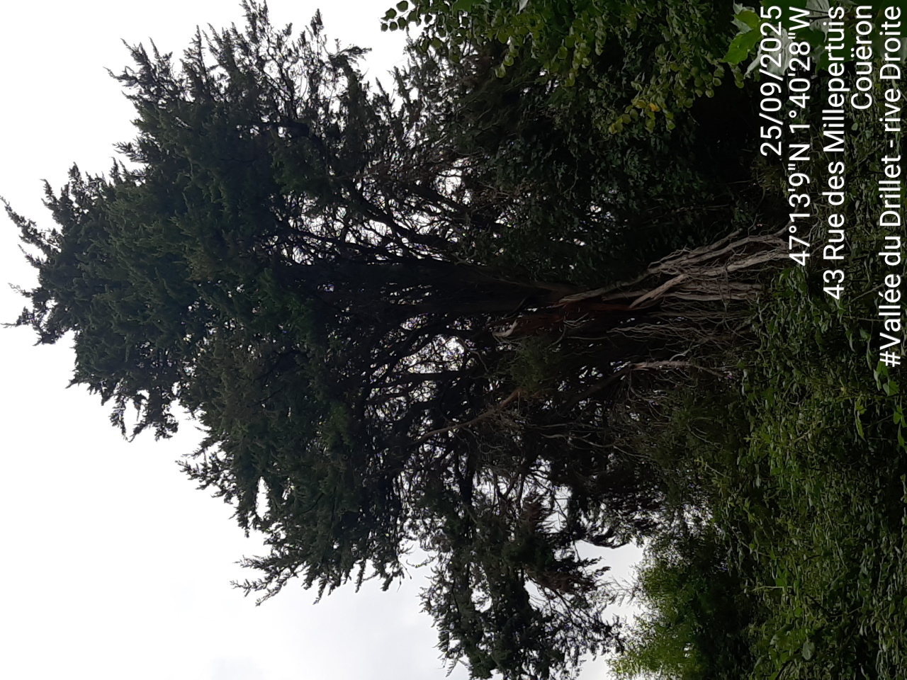 Image d'illustration pour : AR 61/100 Image d'illustration pour : AR 61/100