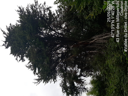 Image d'illustration pour : AR 61/100 Image d'illustration pour : AR 61/100