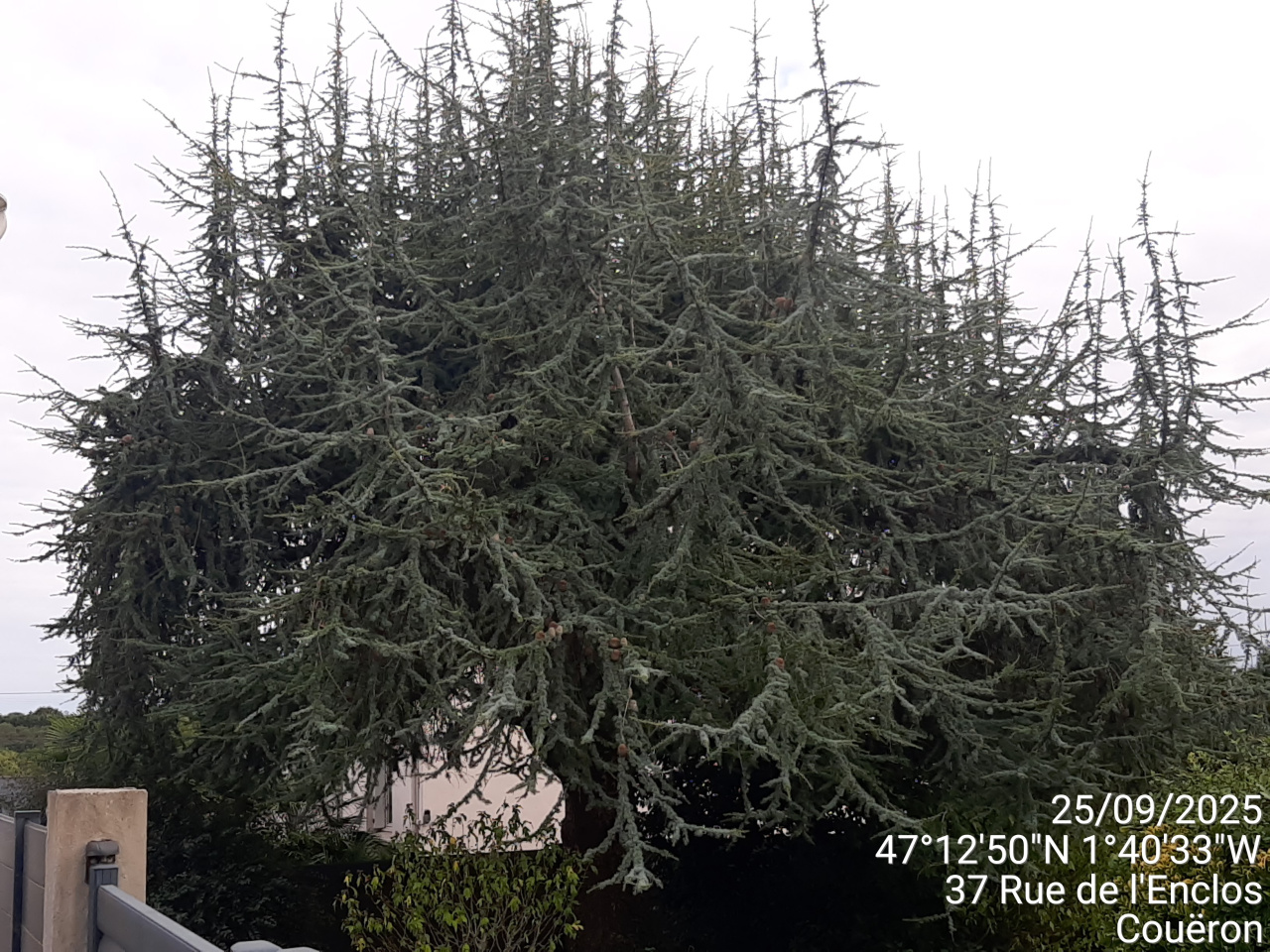 Image d'illustration pour : AR 62/100 Image d'illustration pour : AR 62/100