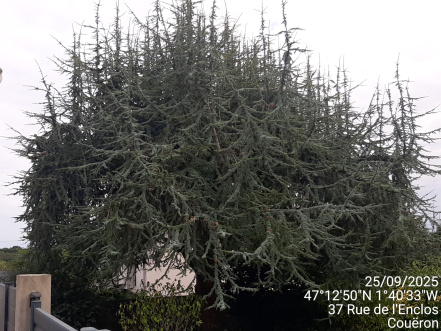 Image d'illustration pour : AR 62/100 Image d'illustration pour : AR 62/100