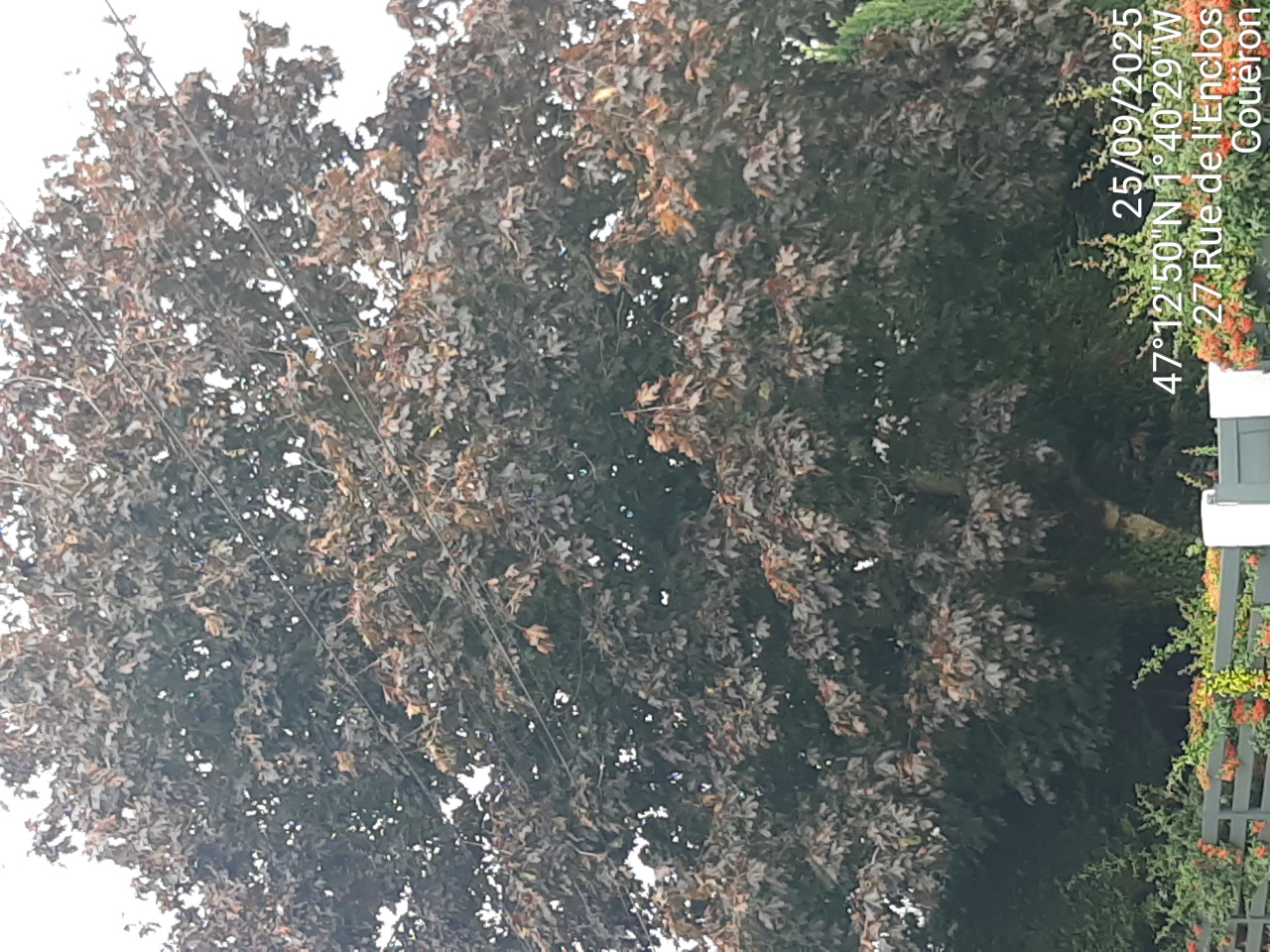 Image d'illustration pour : AR 63/100 Image d'illustration pour : AR 63/100