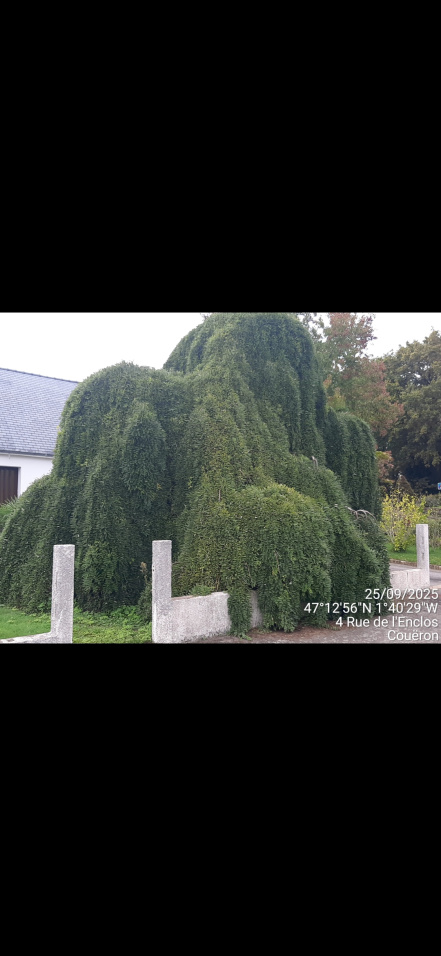 Image d'illustration pour : AR 65/100 Image d'illustration pour : AR 65/100