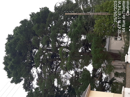 Image d'illustration pour : AR 66/100 Image d'illustration pour : AR 66/100