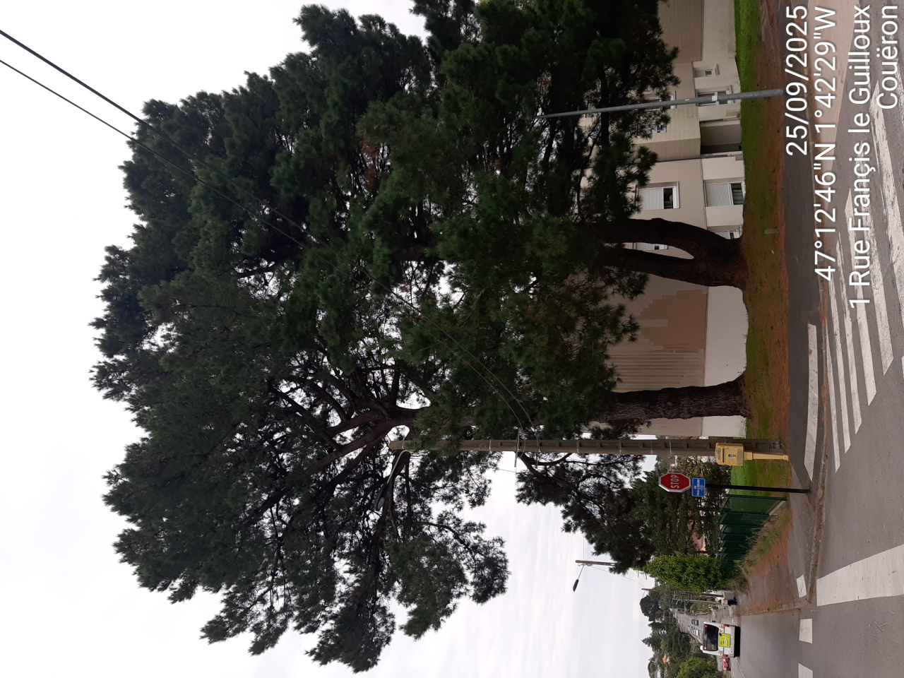 Image d'illustration pour : AR 69/100 Image d'illustration pour : AR 69/100