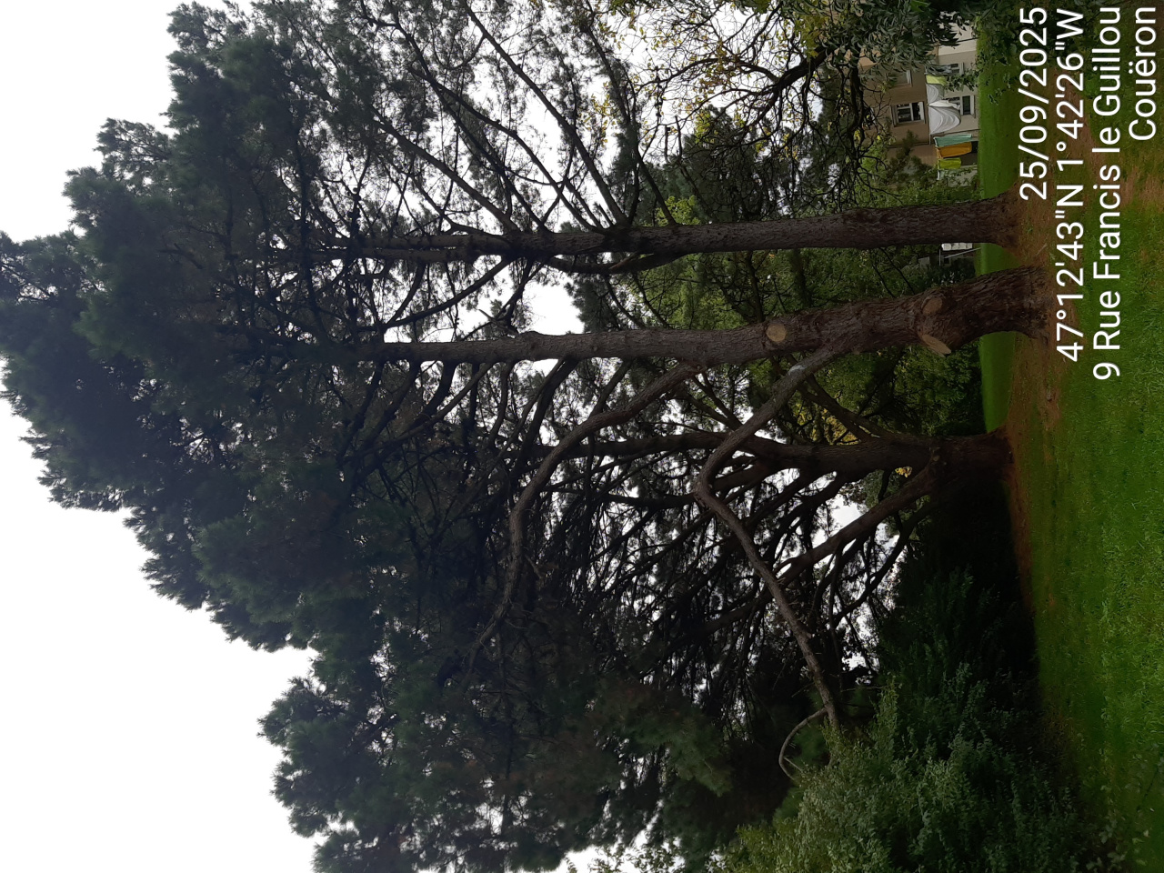 Image d'illustration pour : AR 70/100 Image d'illustration pour : AR 70/100