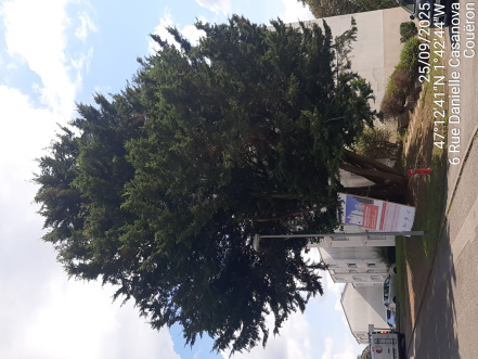 Image d'illustration pour : AR 71/100